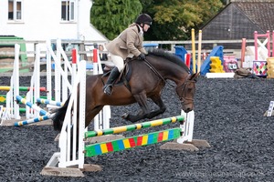 Class 3 -  Fences not above 2'3